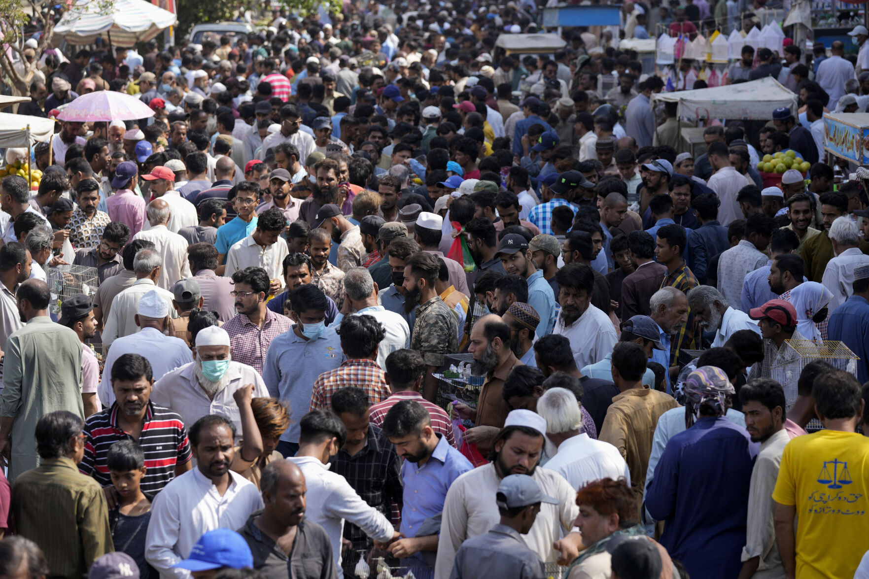 Do you think the world can accommodate 8 billion people?