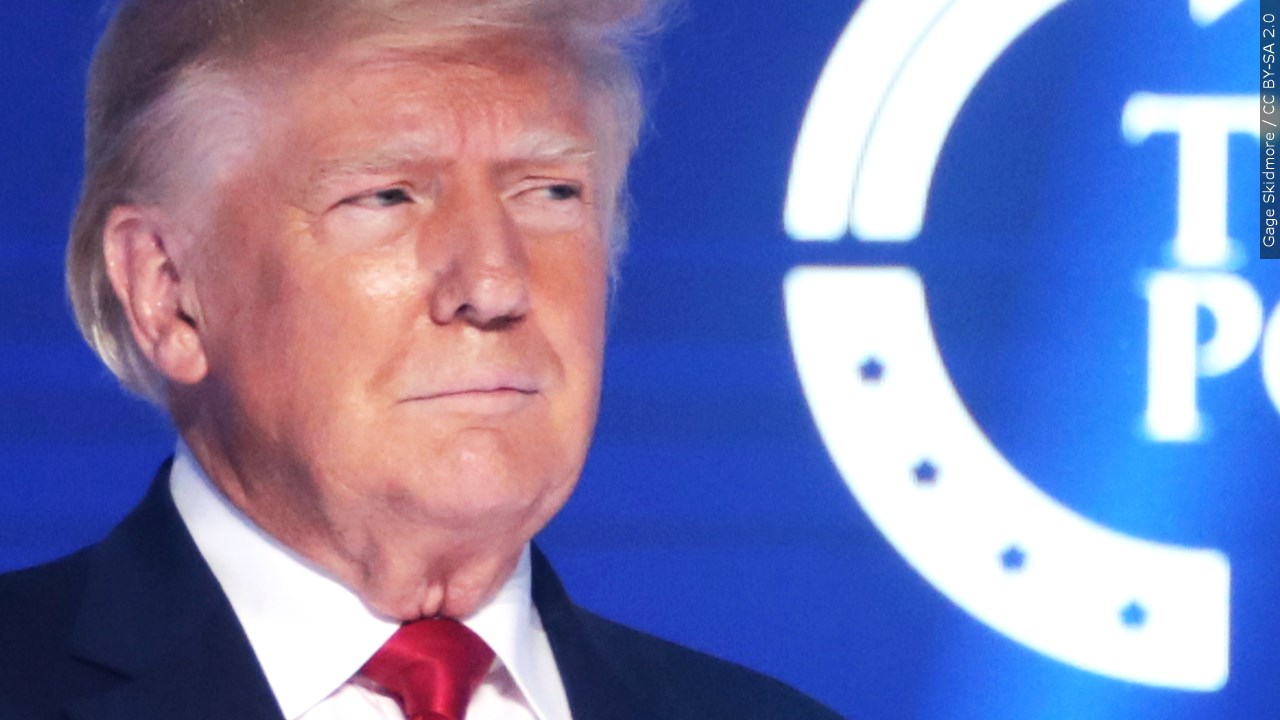 Do you think Trump should run for president in 2024?