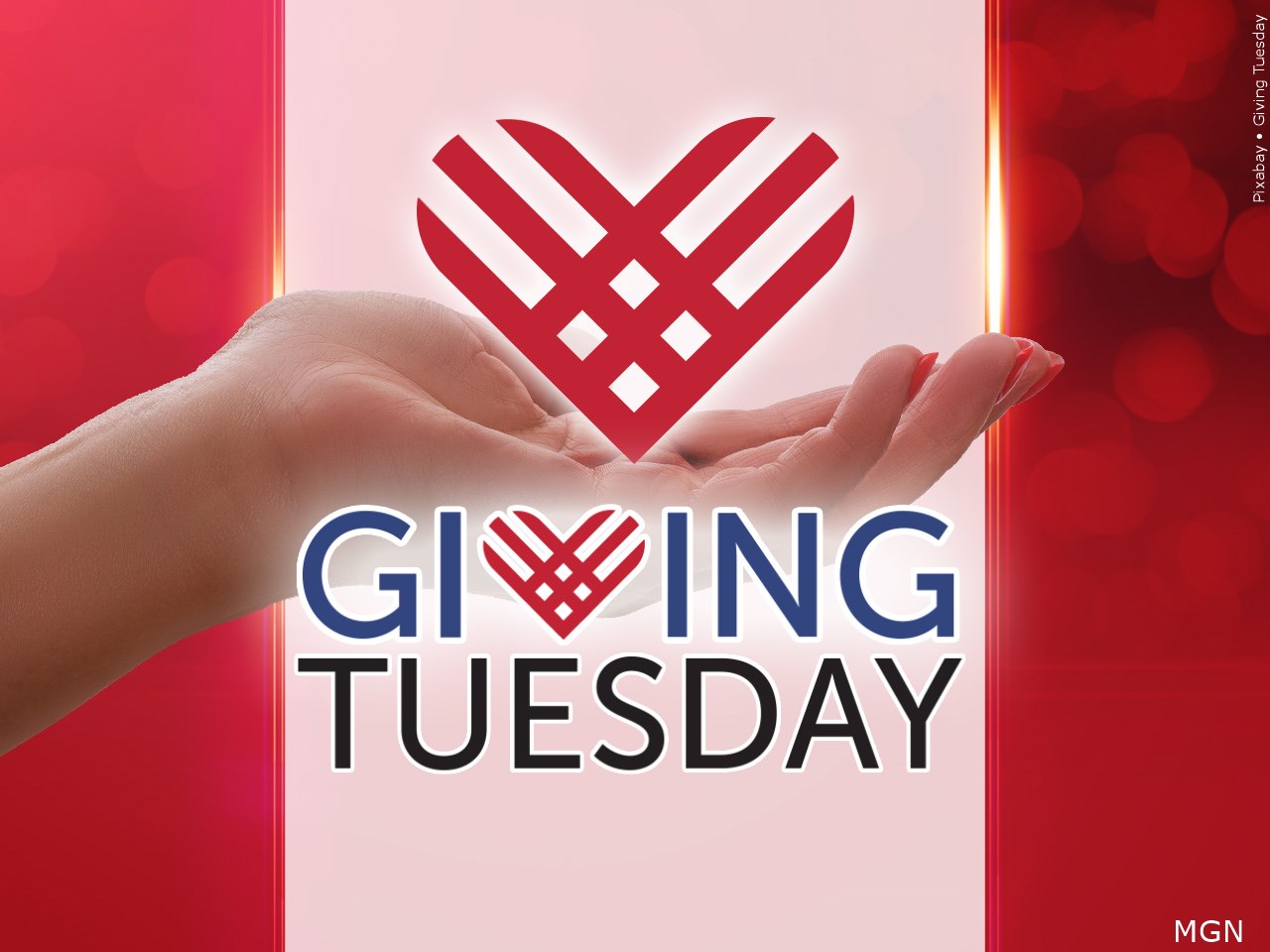 Do you plan to support a non-profit for Giving Tuesday?