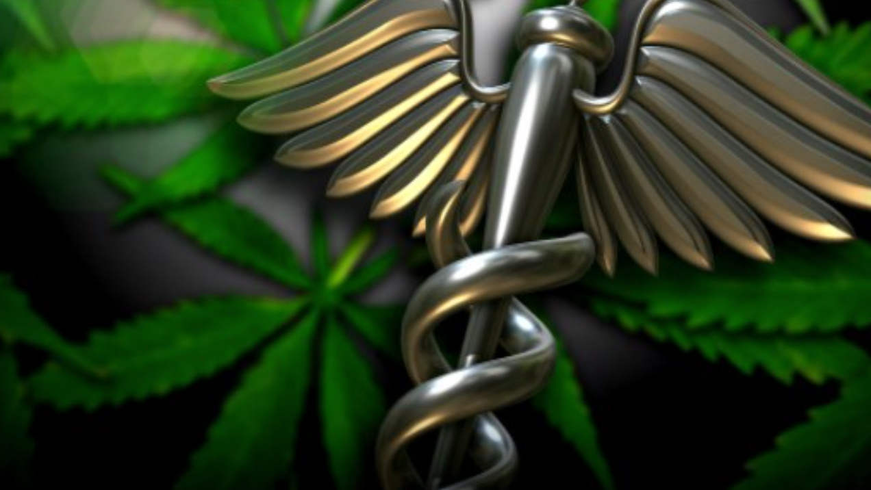 Should Redmond allow marijuana dispensaries? 


