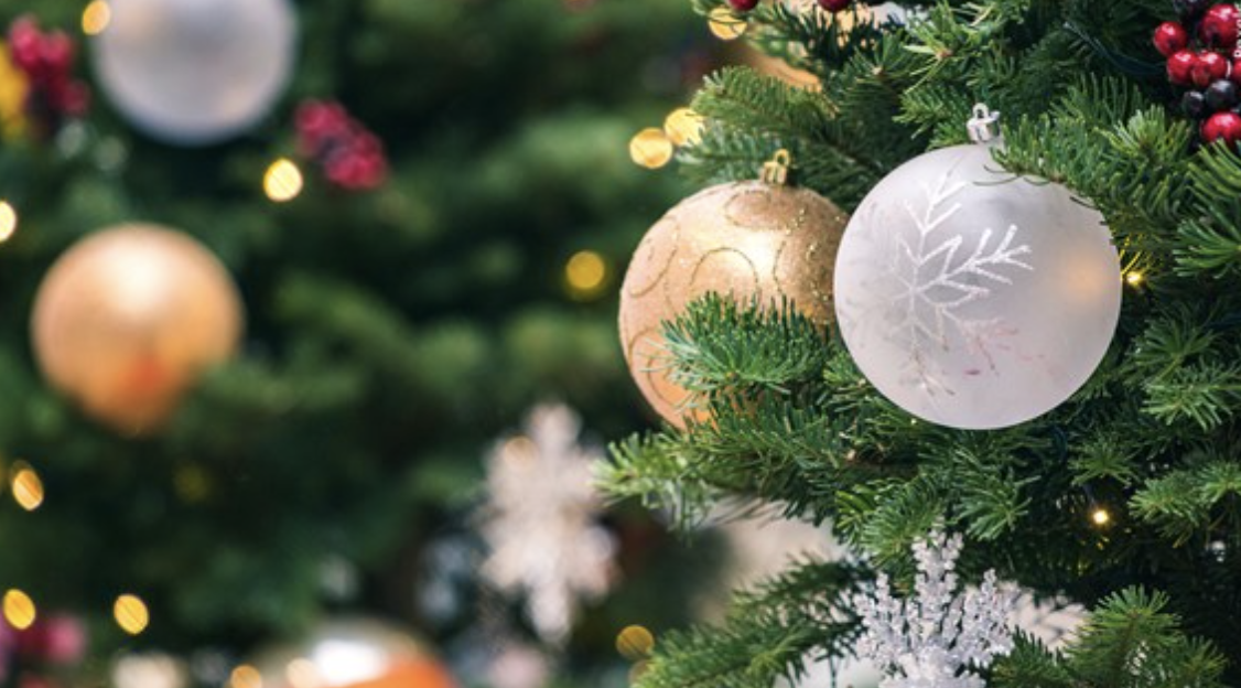 Have you put up your christmas tree yet? 