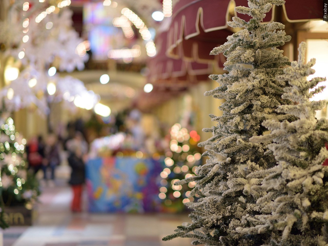 Is your holiday budget bigger or smaller than last year?