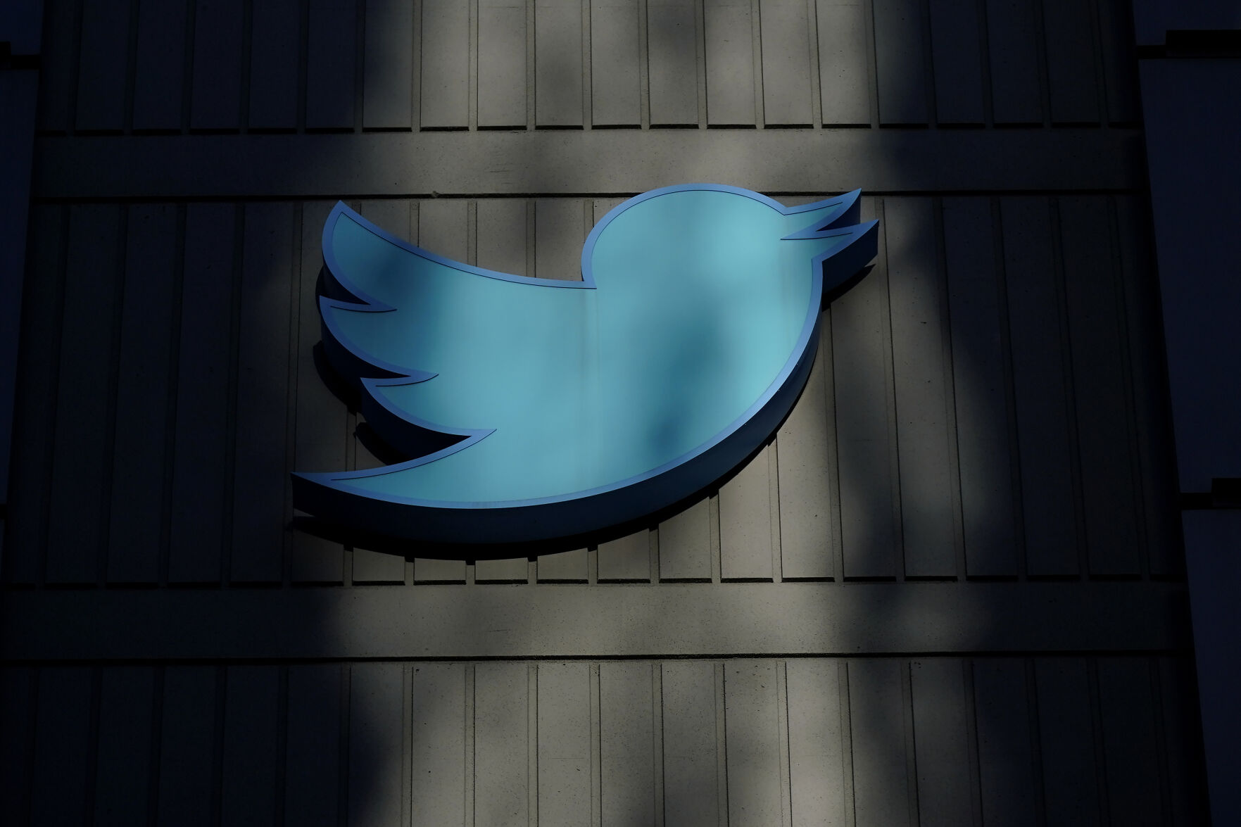 Would you be heartbroken if Twitter faded into oblivion?
