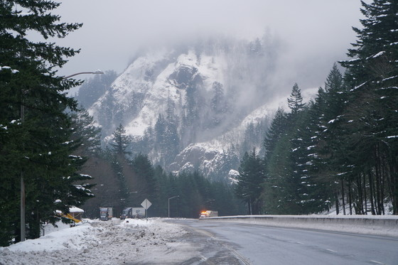 Has the weather curtailed your Christmas week plans?