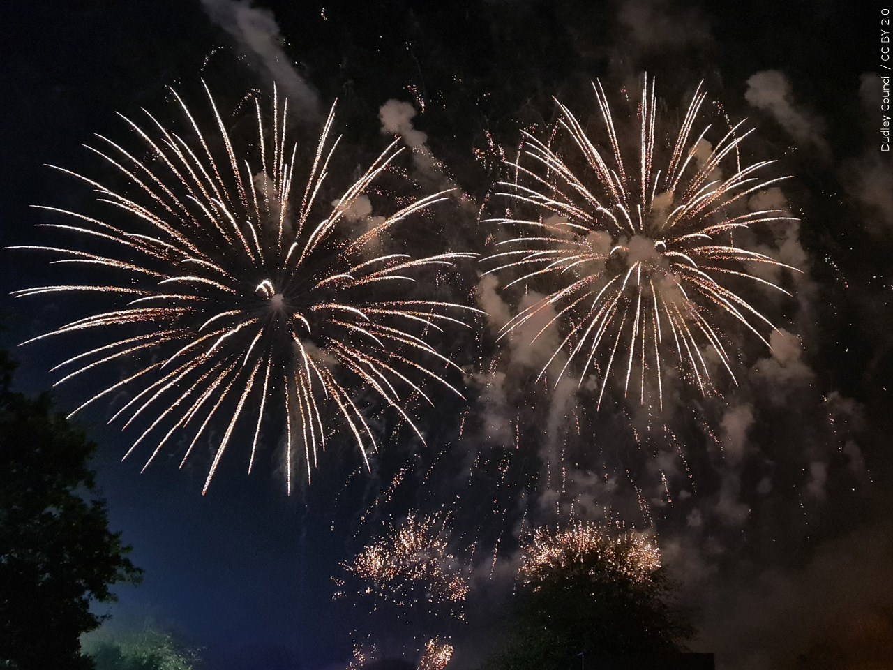Are you making any New Year's resolutions?