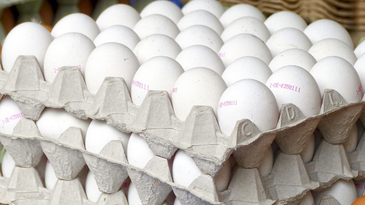 Has "eggflation" changed how you shop?