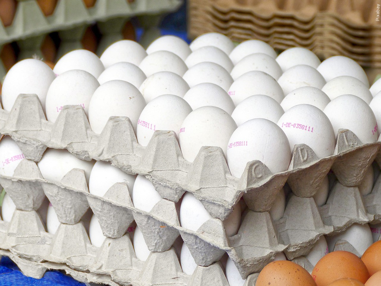 Has "eggflation" changed how you shop?