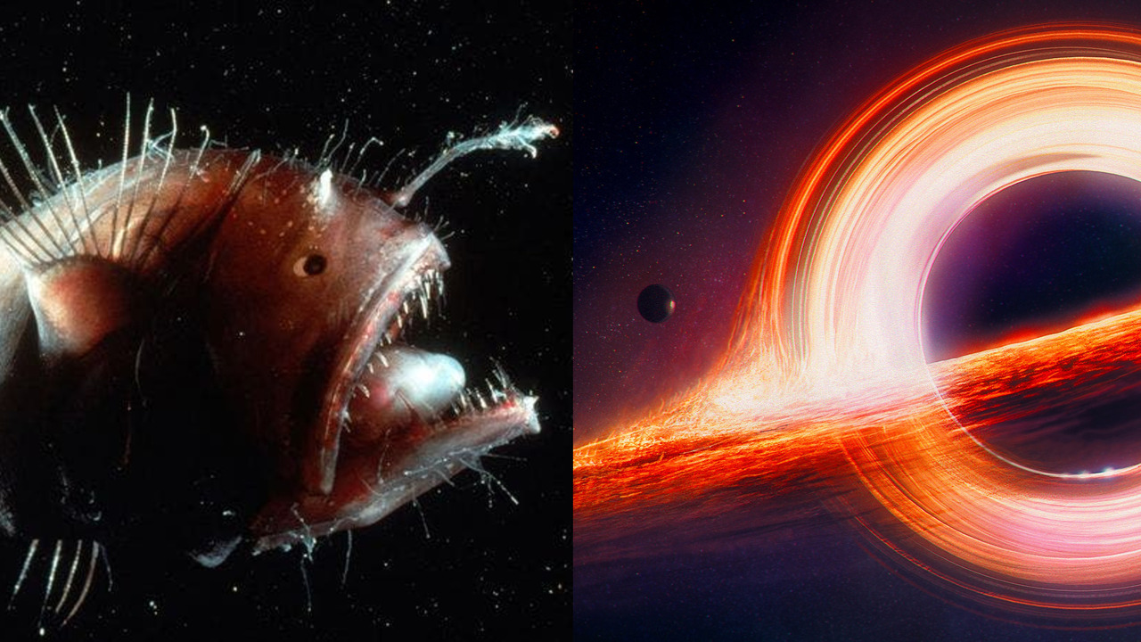 Would you rather explore the deep ocean or deep space?