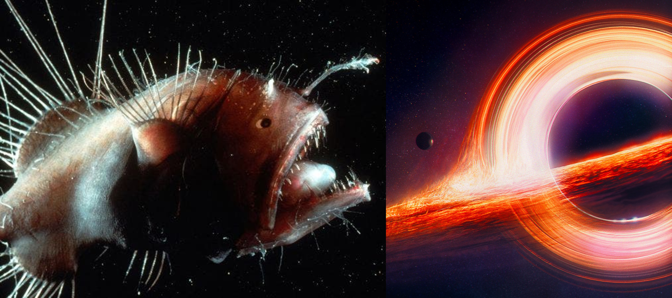Would you rather explore the deep ocean or deep space?