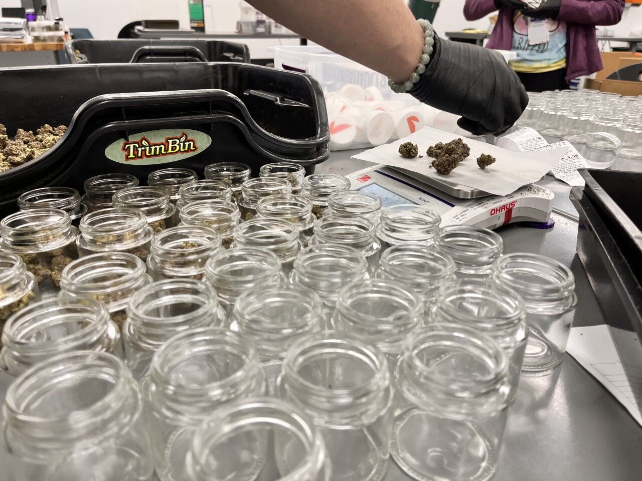 Do you think the marijuana sales tax on the April ballot will pass or fail? 