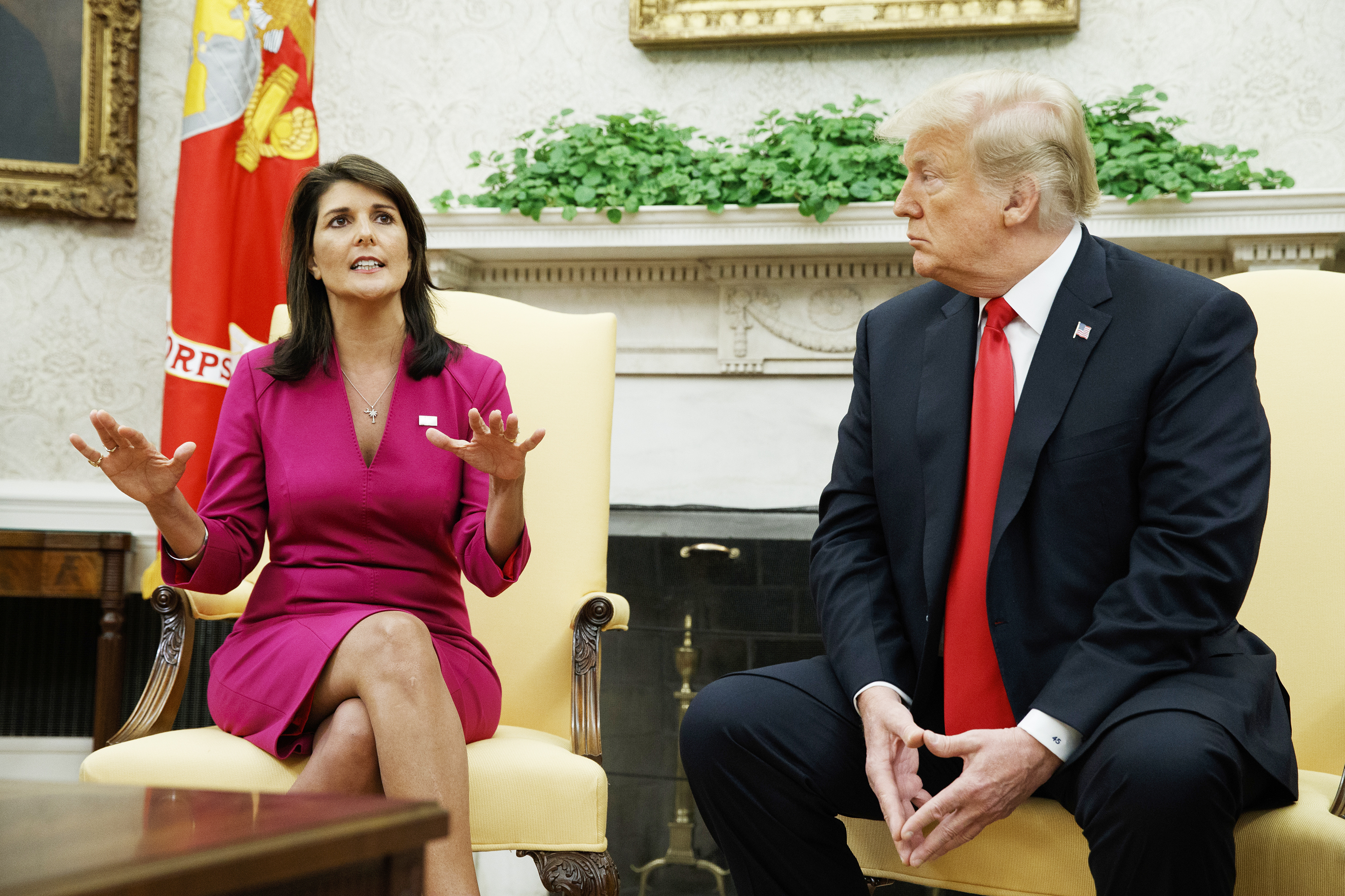 Do you think Ron DeSantis will join the presidential race against Donald Trump and Nikki Haley? 