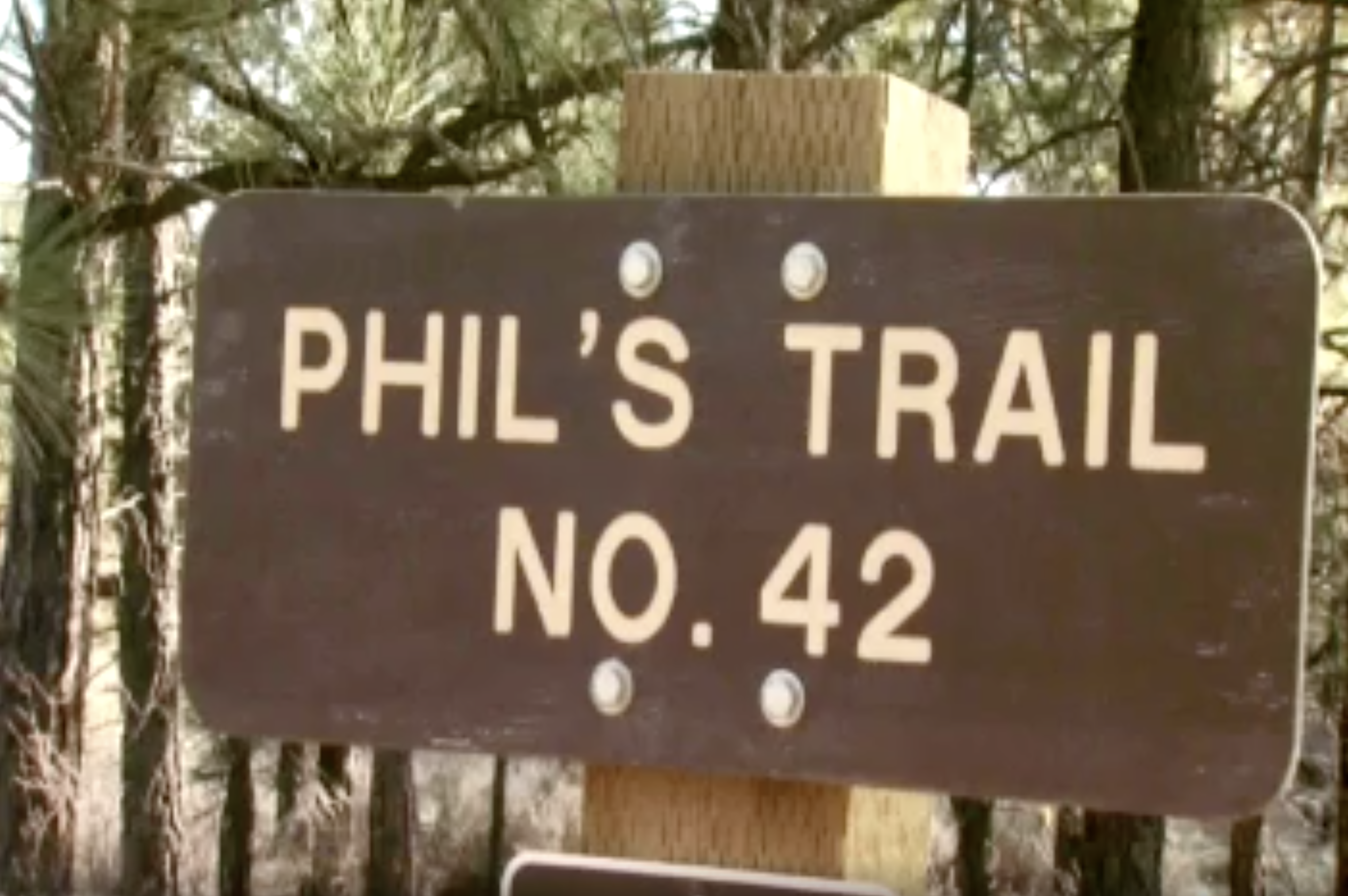 Should the gate at Phil's Trail be closed year round?