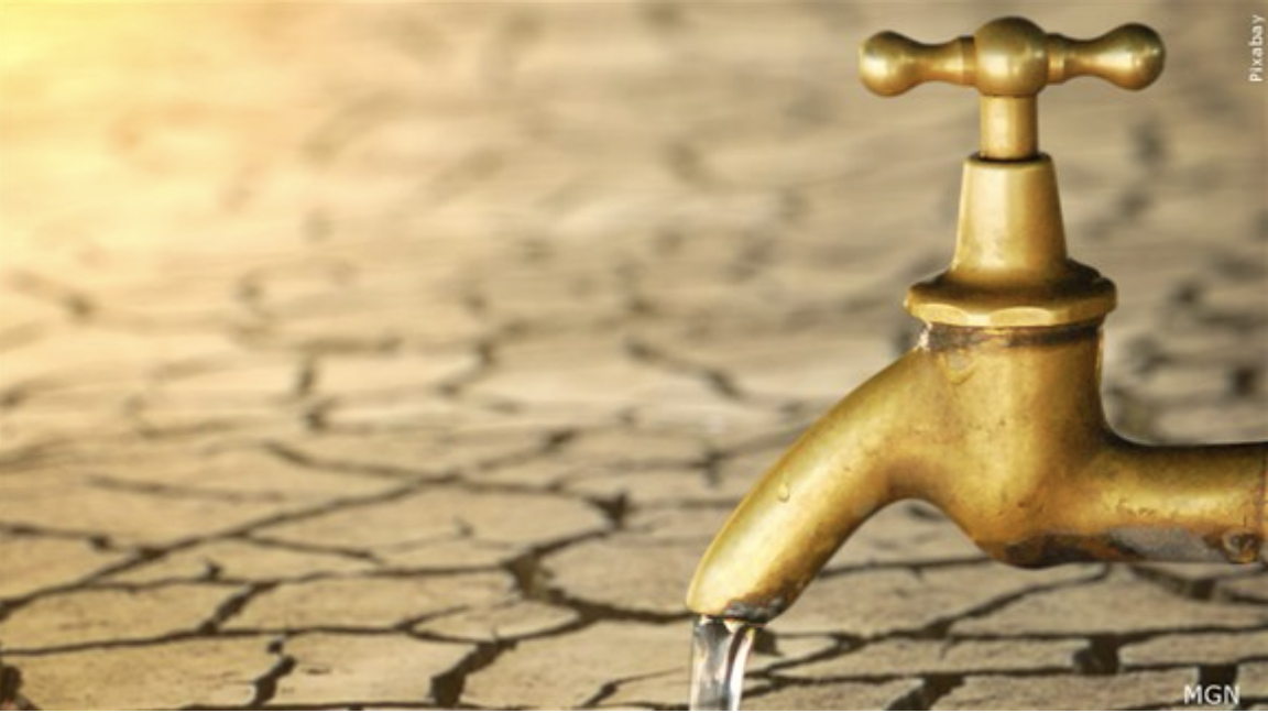 Are you taking any steps to conserve water? 