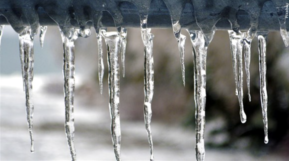 Which season do you prefer, Winter or Summer? 