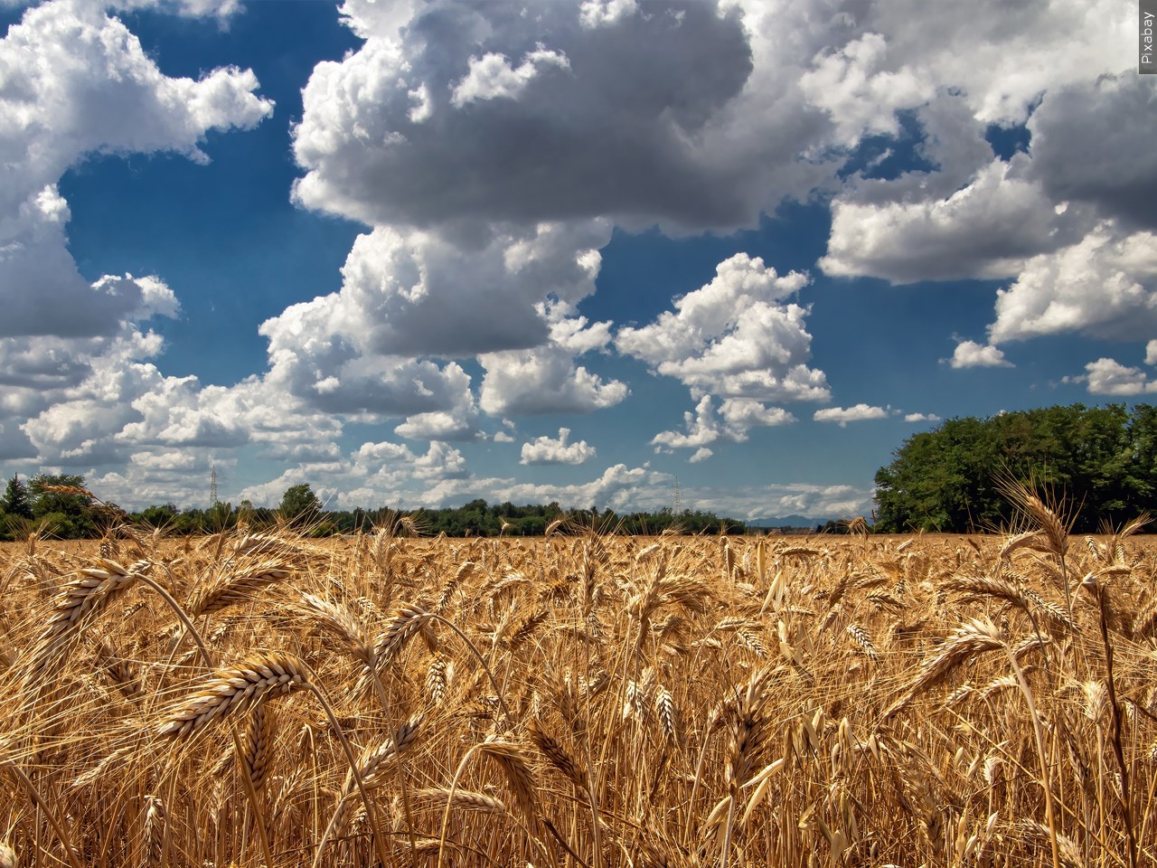 Should some countries be barred from buying Missouri farmland?