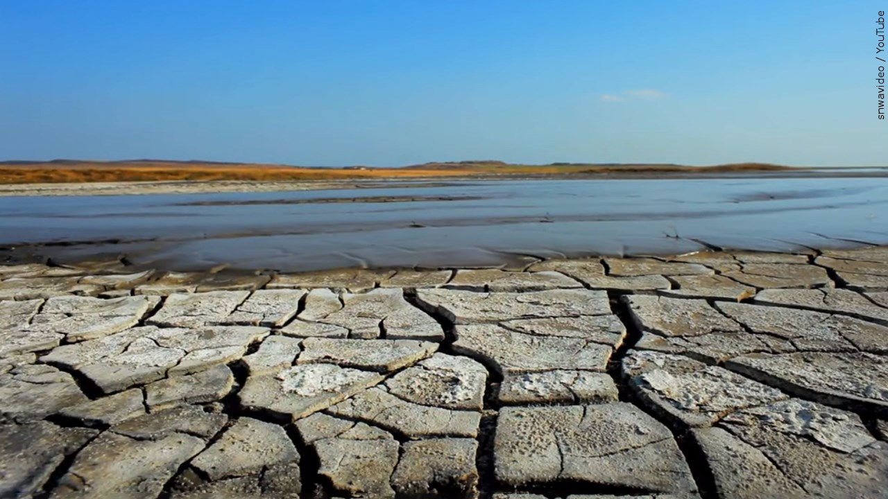 Do you think Colorado River transfers to other areas of Arizona should be allowed?