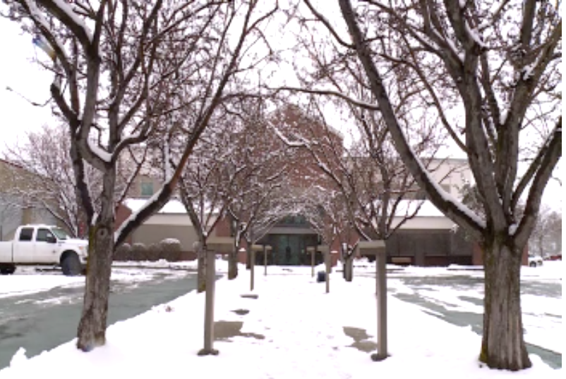 Should Bend have tougher regulations to protect urban trees?