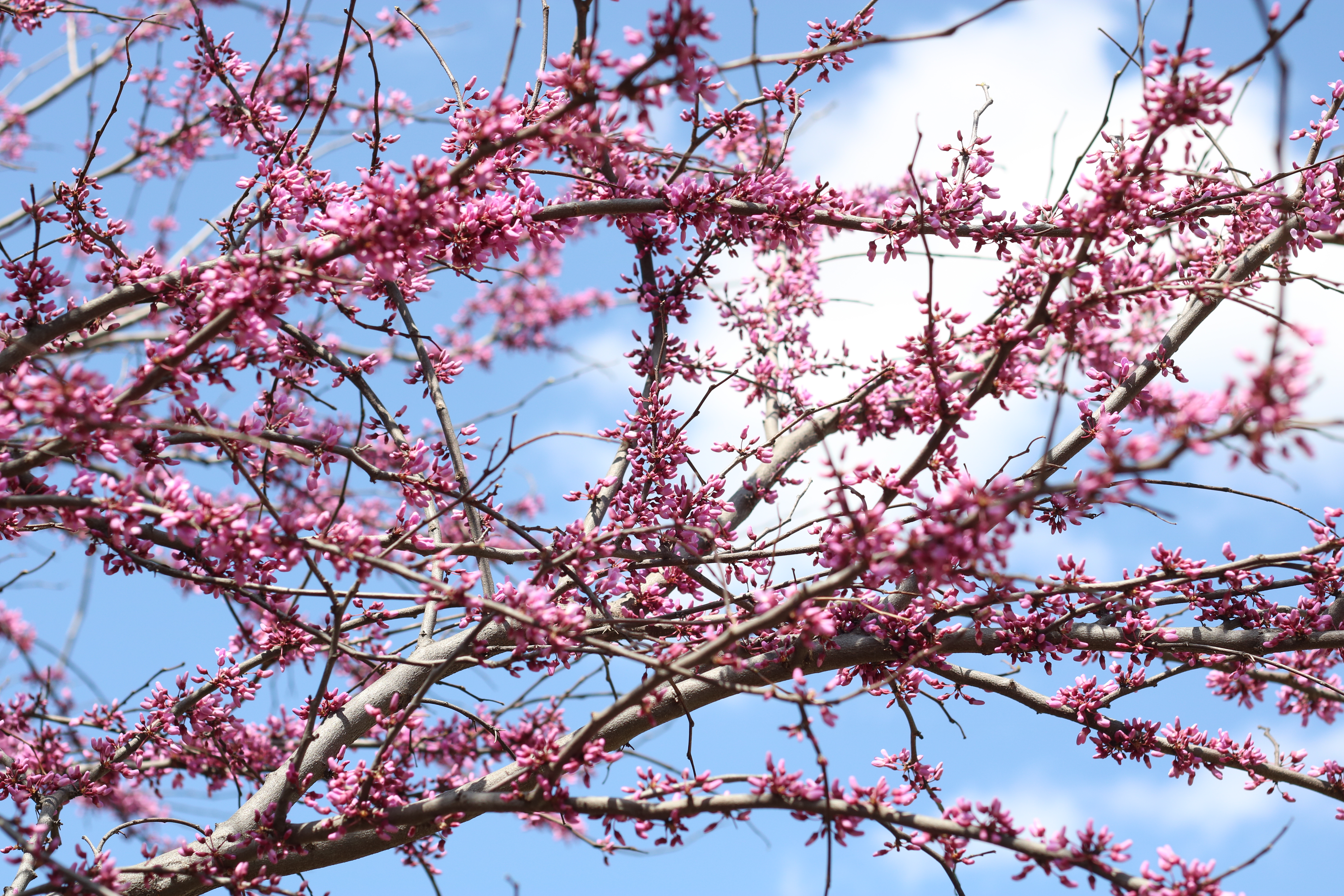 What part of spring do you look forward to the most? 