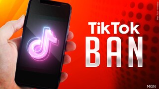 Do you think TikTok should be banned in the U.S.?