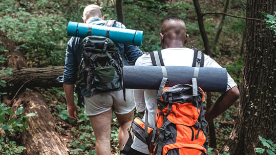 Does the wilderness permit system make you more or less likely to visit?