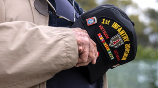 Should the government fully fund mental health treatment for veterans?