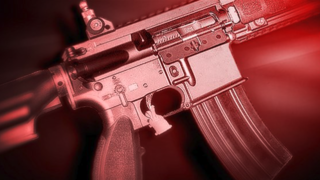 Should Oregon lawmakers be debating gun control?