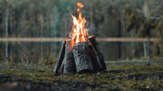 Will you be getting a permit to cut firewood?