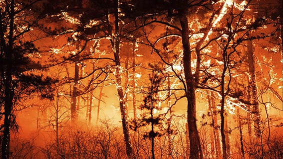 Do you expect a bad wildfire season?