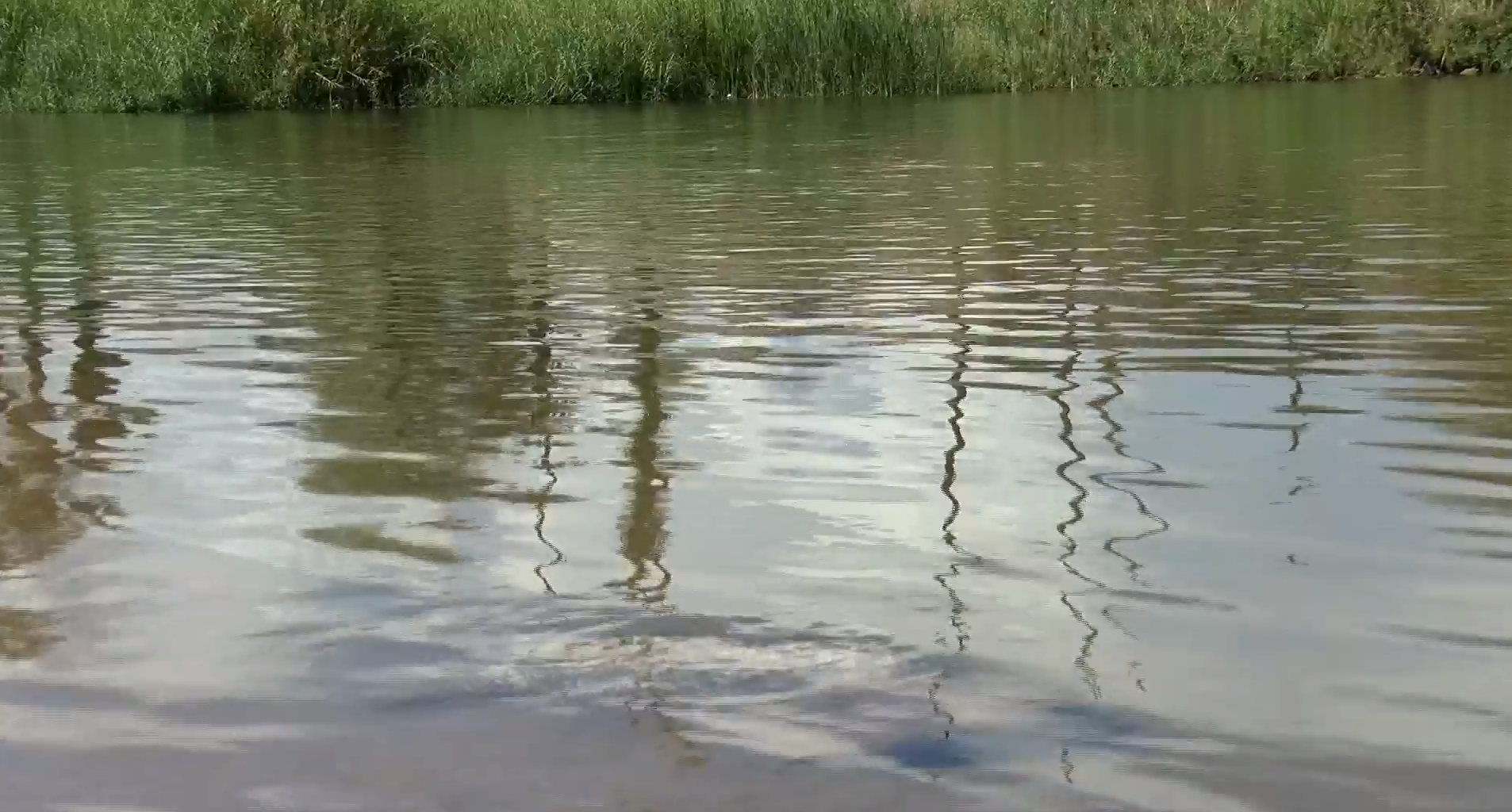 Do you think the Lower Basin Plan will help conserve the water in the Colorado River?
