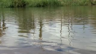 Do you think the Lower Basin Plan will help conserve the water in the Colorado River?