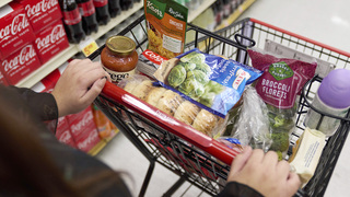 Do you agree with the U.S. increasing work requirements for food stamp recipients? 
