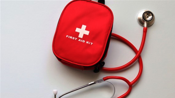 Do you have a pet emergency kit?
