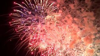 Will you watch a professional fireworks show this Fourth of July?