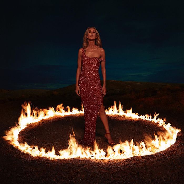 Rolling Stone classe Céline Dion au 10e rang des meilleurs chanteurs canadiens. Êtes-vous d'accord?
