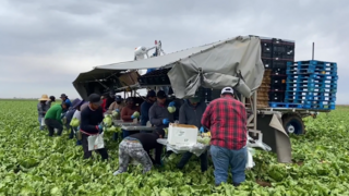 Should there be more heat protection laws for laborers who work outside?