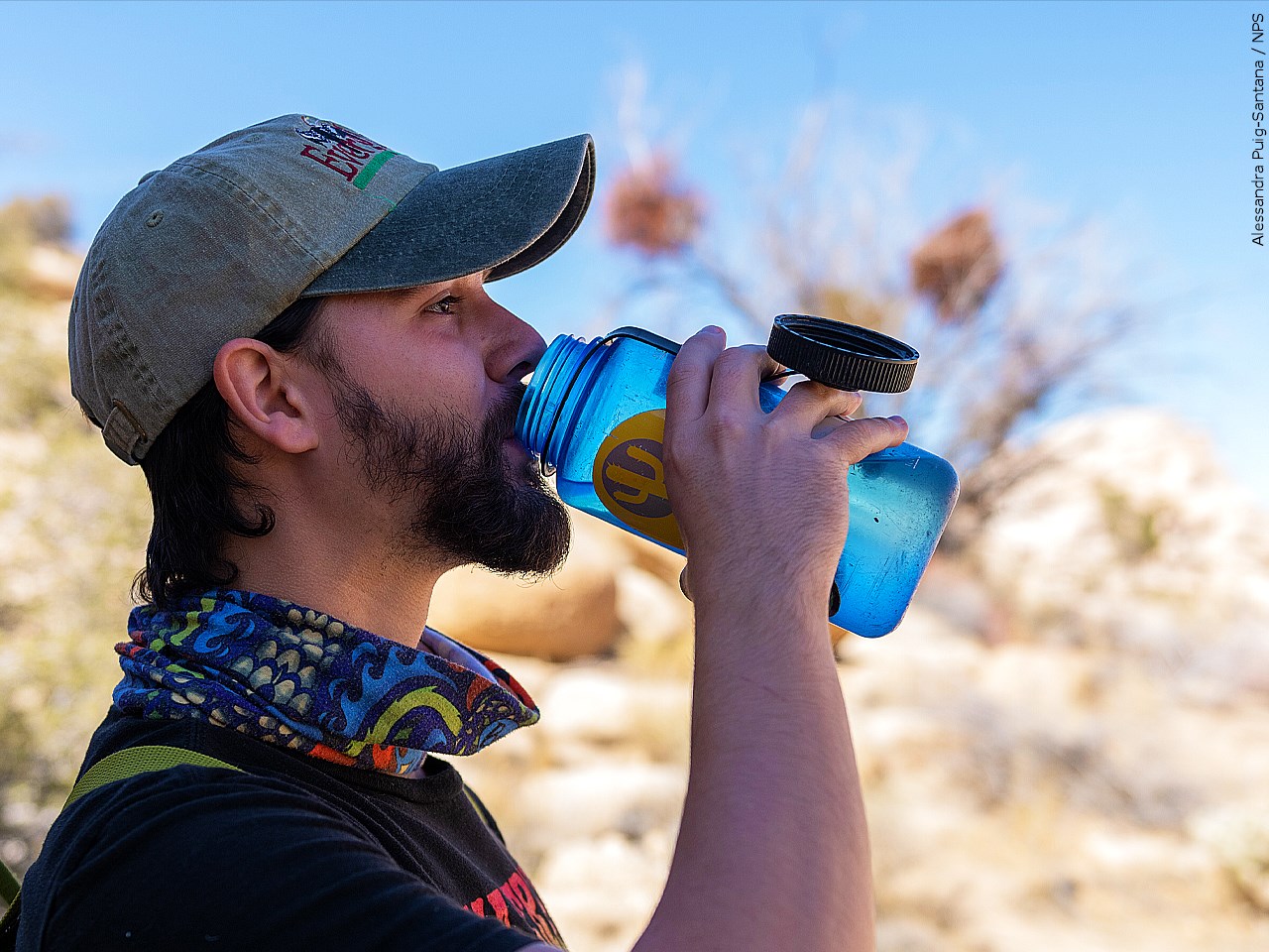 Do you plan on doing any outdoor activities during the heatwave?