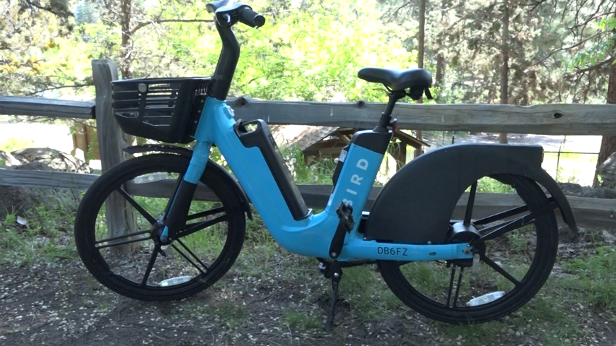 Should e-bikes be allowed on forest trails?