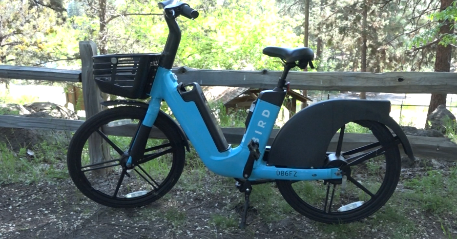 Should e-bikes be allowed on forest trails?