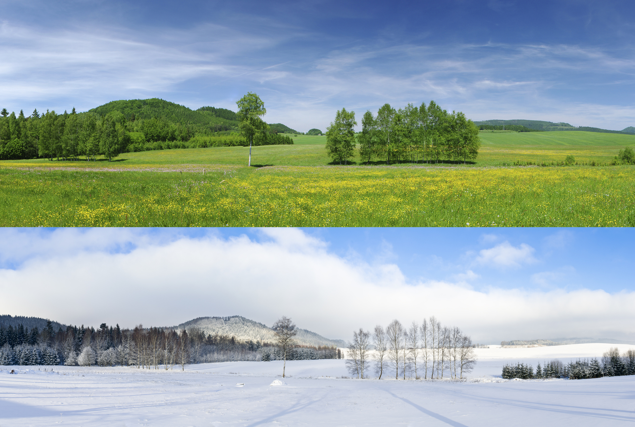 What do you deal with better, the extreme heat or bitter cold? 