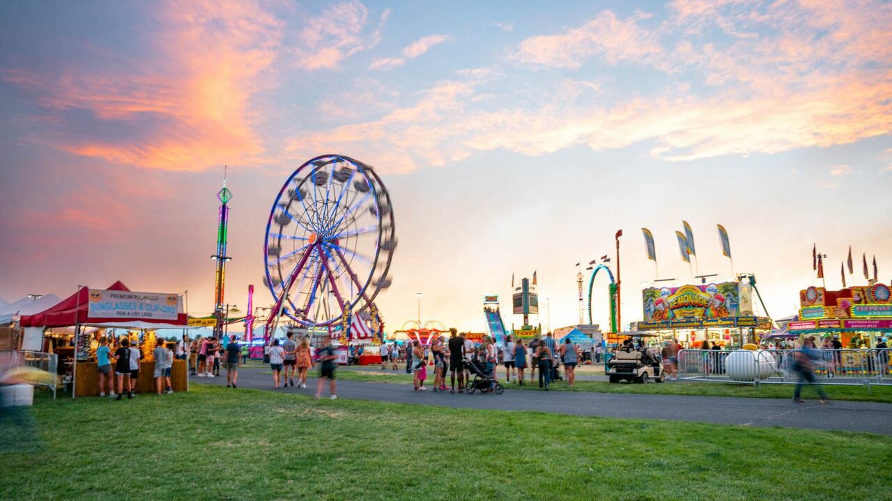 Which do you prefer the drone light shows or firework light shows?