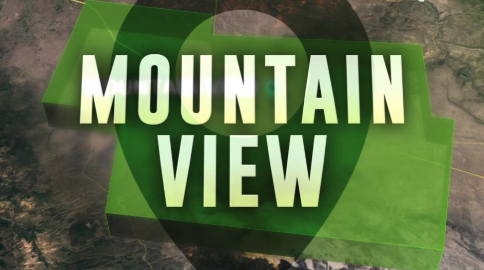 Would you vote for Mountain View to become a city?