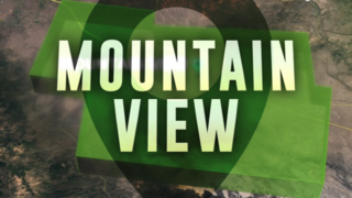 Would you vote for Mountain View to become a city?