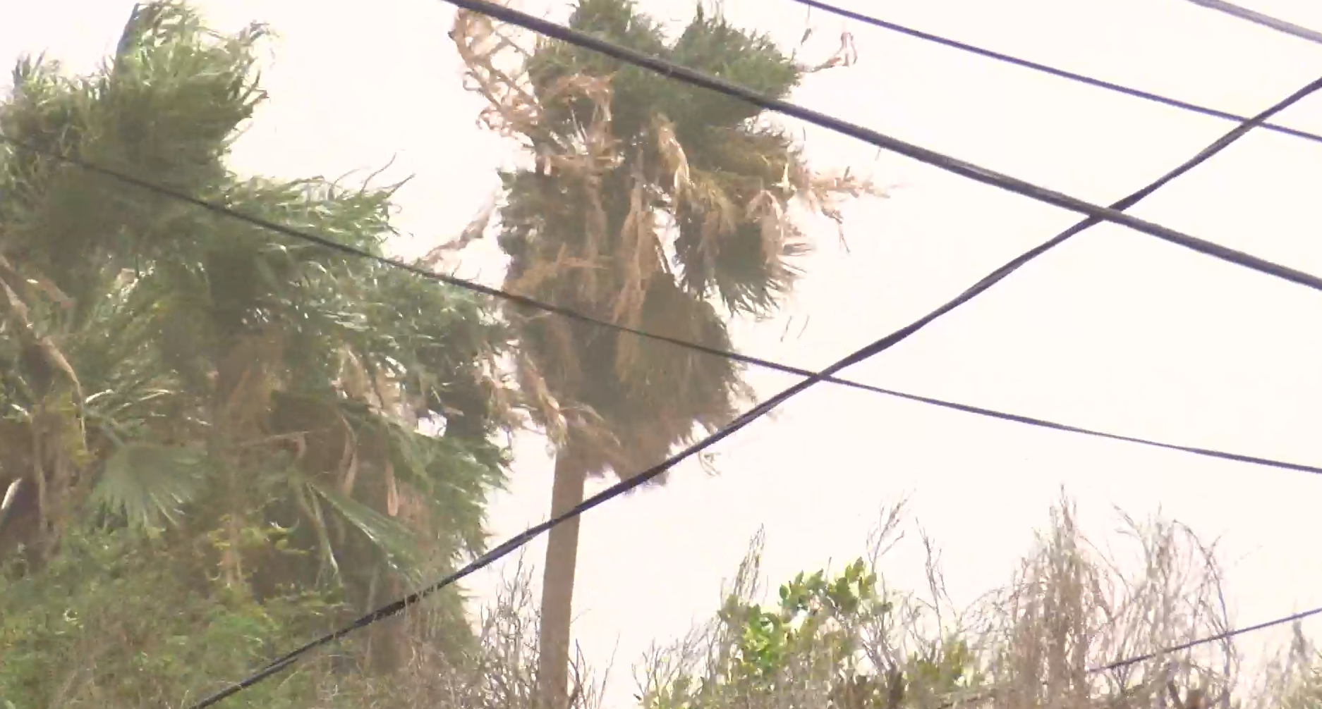Were you affected by Tropical Storm Hilary?