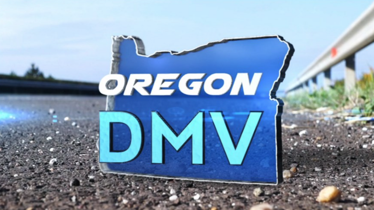 Will you use online services at the DMV?