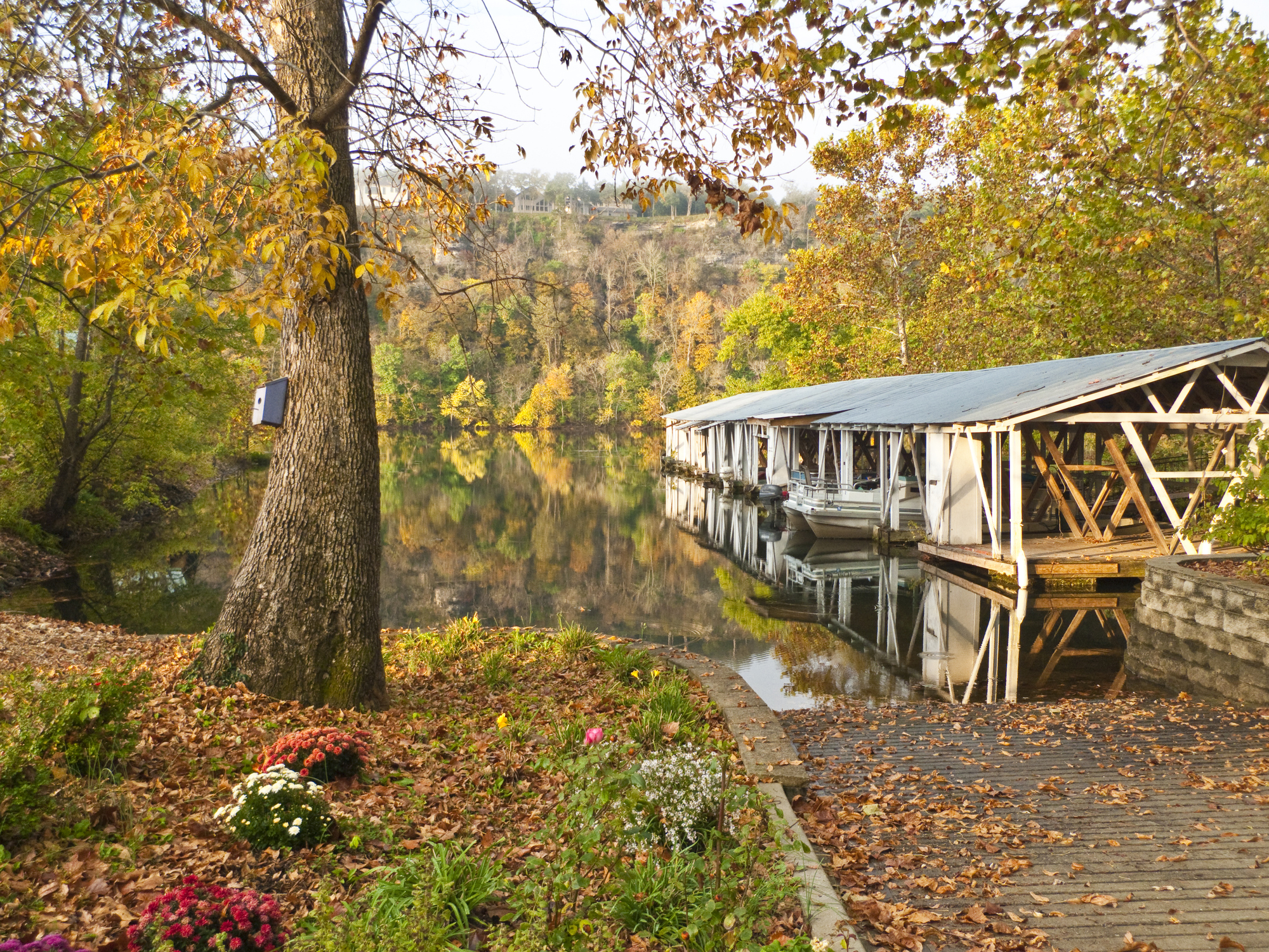 What’s your favorite part about fall?
