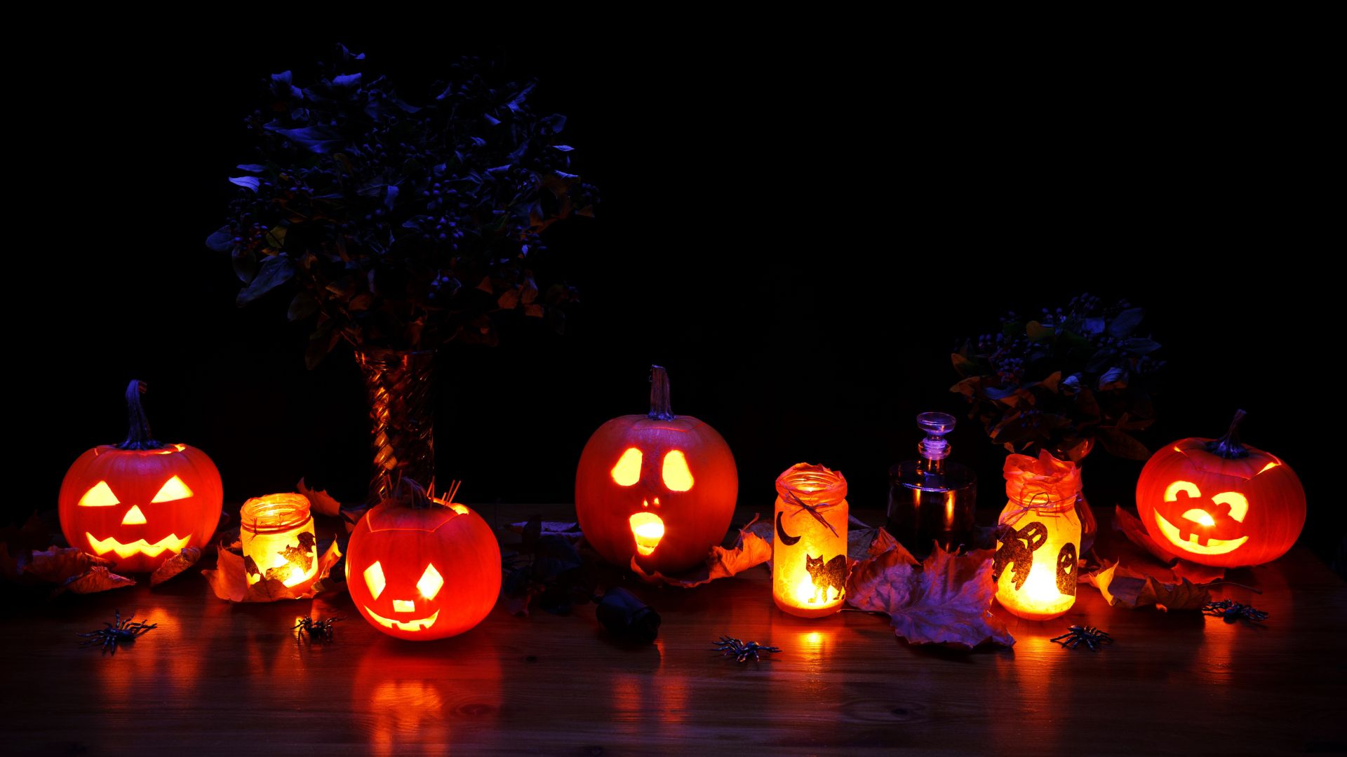 Will you be going out for Halloween?