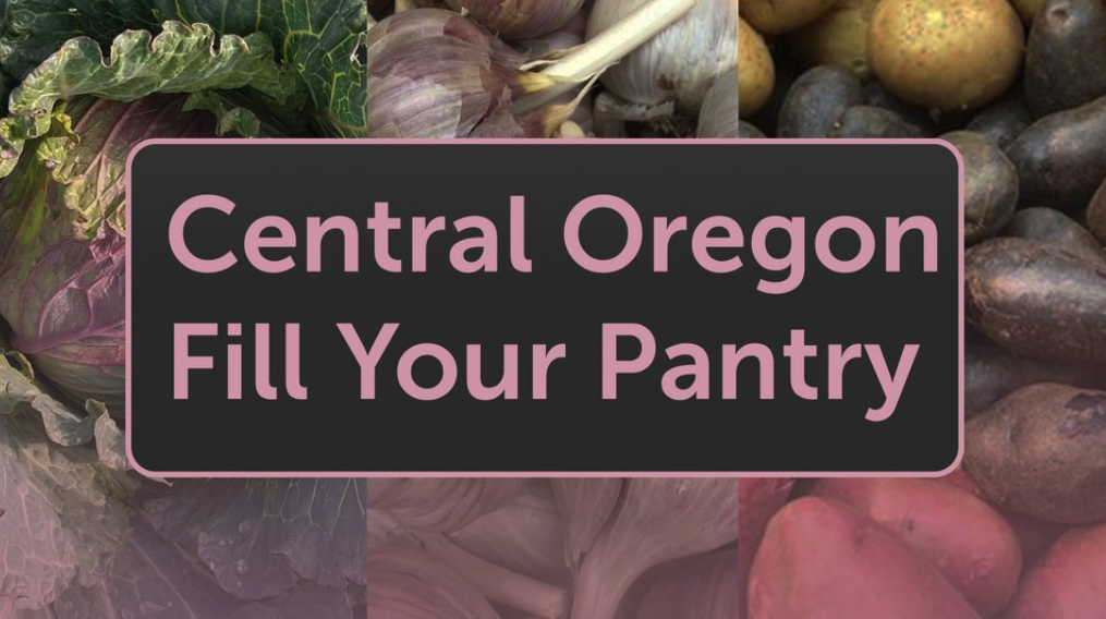 Do you prefer to buy your groceries in bulk?