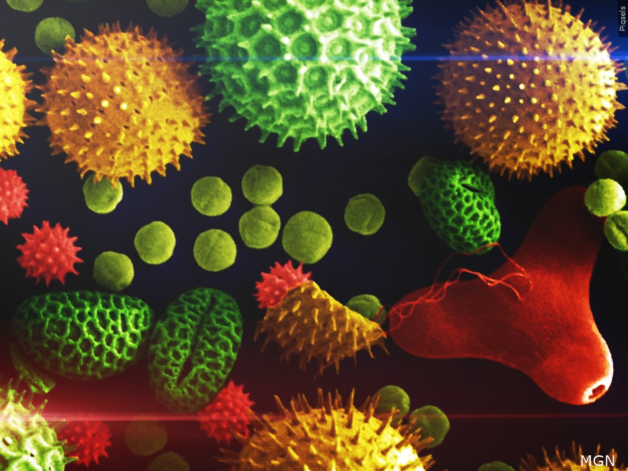 Have you been sick this season?