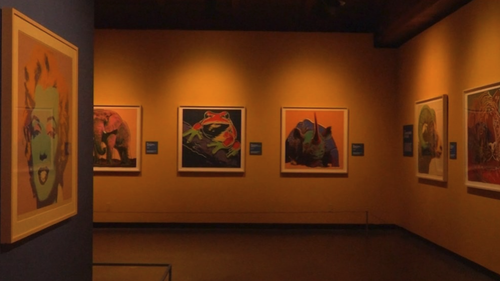 Are you planning on seeing the Andy Warhol exhibit?