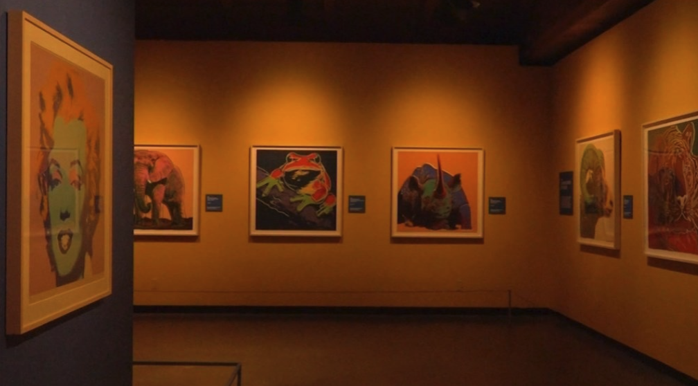 Are you planning on seeing the Andy Warhol exhibit?